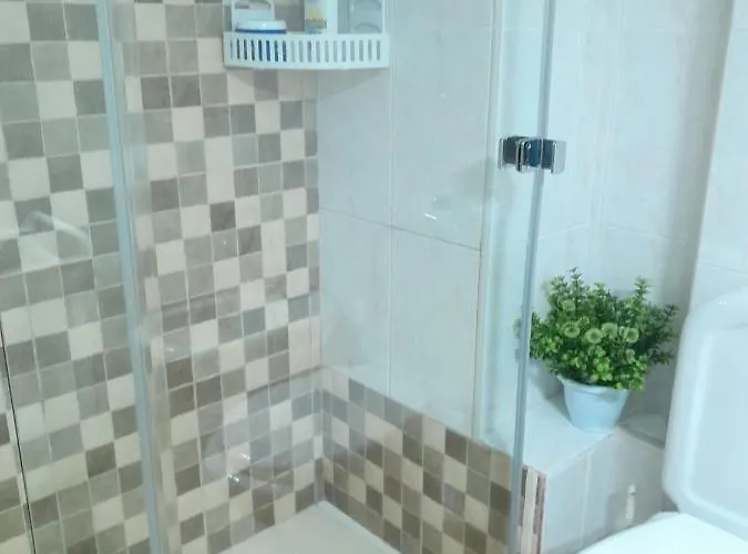 Sol Paraiso * أذيخي